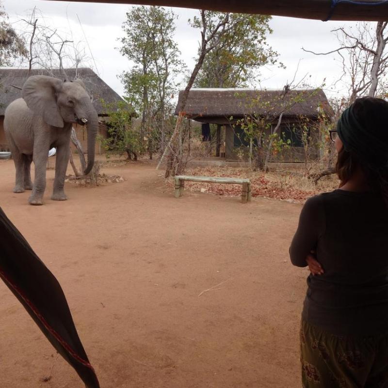 Caitlin S in Botswana Caitlin S in Botswana